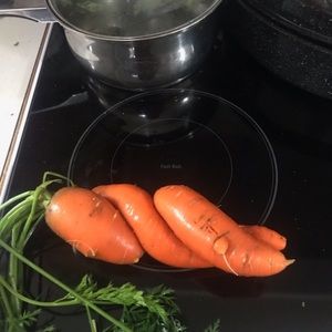 Meet your Posher, Terra